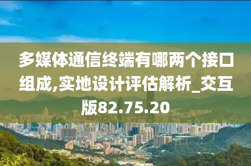 多媒体通信终端有哪两个接口组成,实地设计评估解析_交互版82.75.20