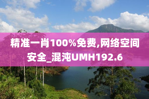 精准一肖100%免费,网络空间安全_混沌UMH192.6