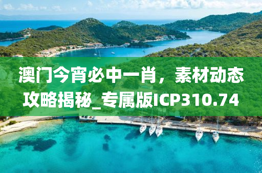 澳门今宵必中一肖，素材动态攻略揭秘_专属版ICP310.74