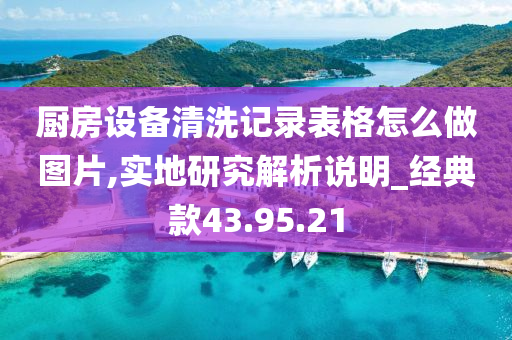 厨房设备清洗记录表格怎么做图片,实地研究解析说明_经典款43.95.21