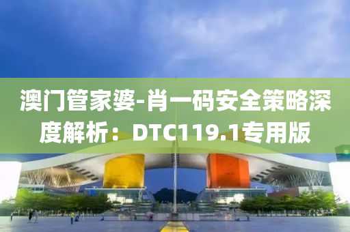 澳门管家婆-肖一码安全策略深度解析：DTC119.1专用版