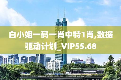 白小姐一码一肖中特1肖,数据驱动计划_VIP55.68