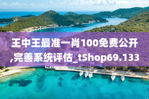 王中王最准一肖100免费公开,完善系统评估_tShop69.133