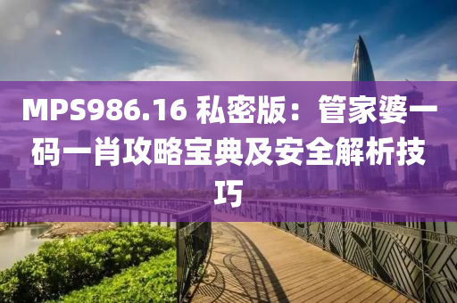 MPS986.16 私密版：管家婆一码一肖攻略宝典及安全解析技巧