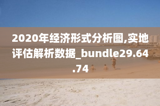 2020年经济形式分析图,实地评估解析数据_bundle29.64.74