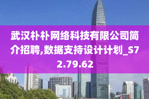 武汉朴朴网络科技有限公司简介招聘,数据支持设计计划_S72.79.62