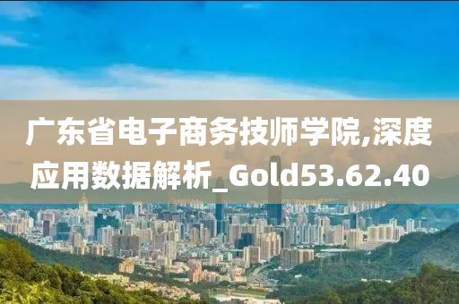 广东省电子商务技师学院,深度应用数据解析_Gold53.62.40