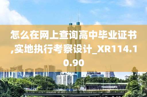 怎么在网上查询高中毕业证书,实地执行考察设计_XR114.10.90