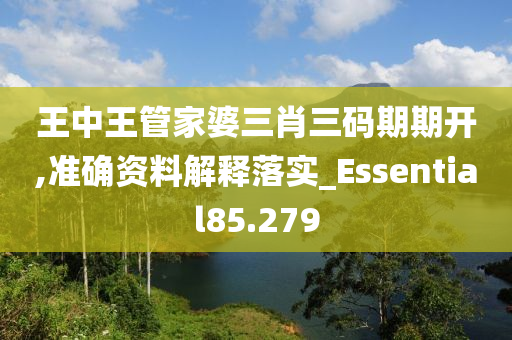 王中王管家婆三肖三码期期开,准确资料解释落实_Essential85.279