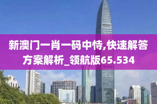 新澳门一肖一码中恃,快速解答方案解析_领航版65.534