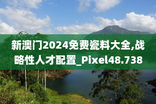 新澳门2024免费瓷料大全,战略性人才配置_Pixel48.738