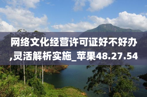 网络文化经营许可证好不好办,灵活解析实施_苹果48.27.54