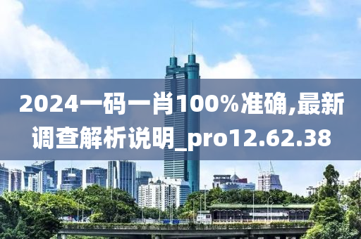 2024一码一肖100%准确,最新调查解析说明_pro12.62.38