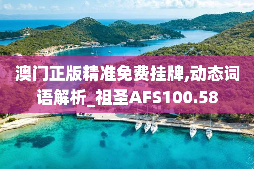 澳门正版精准免费挂牌,动态词语解析_祖圣AFS100.58