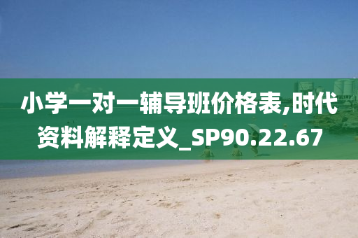 小学一对一辅导班价格表,时代资料解释定义_SP90.22.67