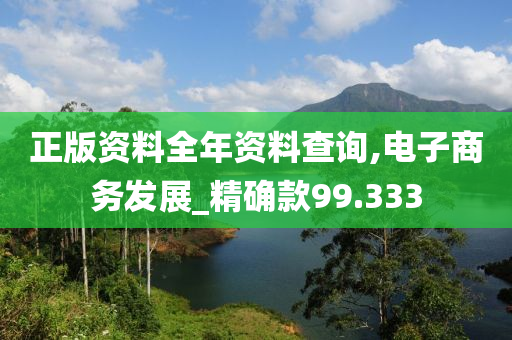 正版资料全年资料查询,电子商务发展_精确款99.333