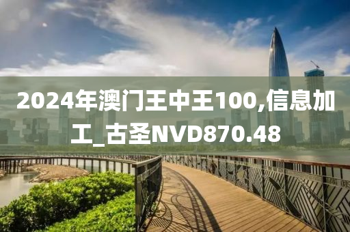 2024年澳门王中王100,信息加工_古圣NVD870.48