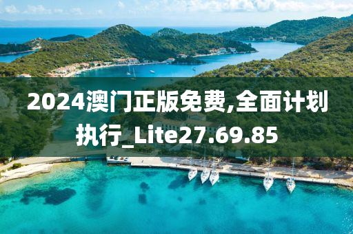 2024澳门正版免费,全面计划执行_Lite27.69.85