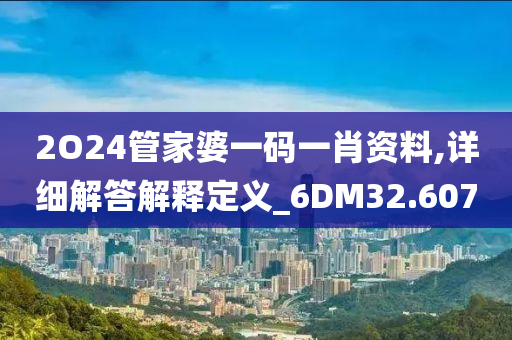 2O24管家婆一码一肖资料,详细解答解释定义_6DM32.607