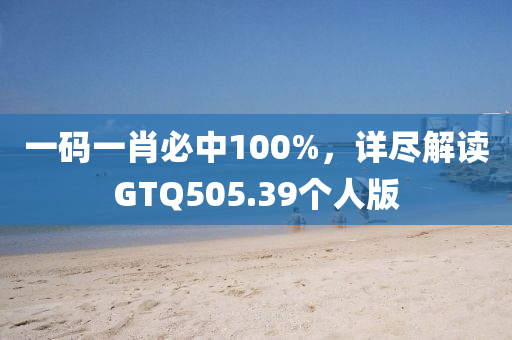 一码一肖必中100%，详尽解读GTQ505.39个人版