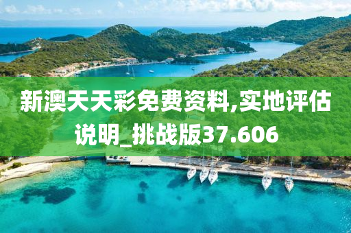 新澳天天彩免费资料,实地评估说明_挑战版37.606