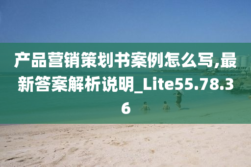 产品营销策划书案例怎么写,最新答案解析说明_Lite55.78.36