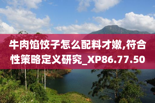 牛肉馅饺子怎么配料才嫩,符合性策略定义研究_XP86.77.50