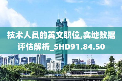 技术人员的英文职位,实地数据评估解析_SHD91.84.50