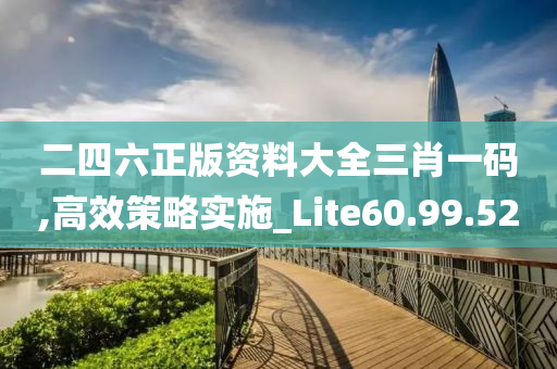 二四六正版资料大全三肖一码,高效策略实施_Lite60.99.52