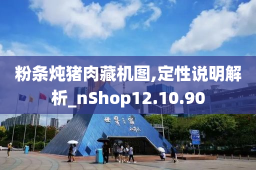 粉条炖猪肉藏机图,定性说明解析_nShop12.10.90