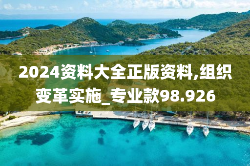 2024资料大全正版资料,组织变革实施_专业款98.926