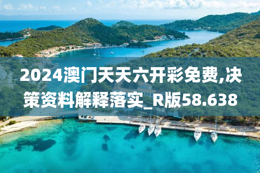 2024澳门天天六开彩免费,决策资料解释落实_R版58.638