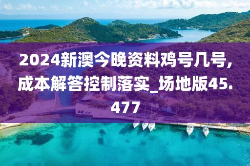 2024新澳今晚资料鸡号几号,成本解答控制落实_场地版45.477