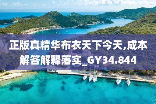 正版真精华布衣天下今天,成本解答解释落实_GY34.844