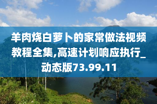 羊肉烧白萝卜的家常做法视频教程全集,高速计划响应执行_动态版73.99.11