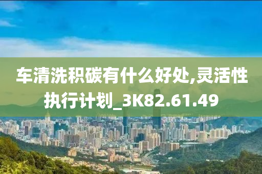 车清洗积碳有什么好处,灵活性执行计划_3K82.61.49