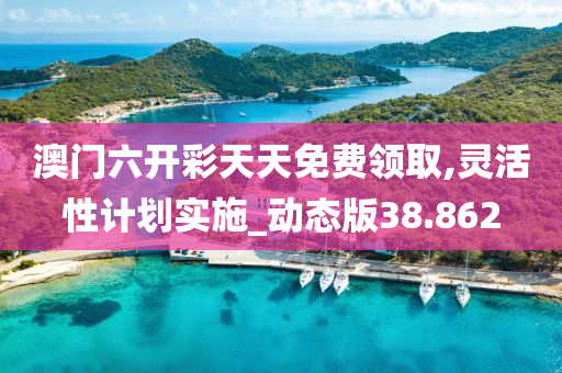 澳门六开彩天天免费领取,灵活性计划实施_动态版38.862