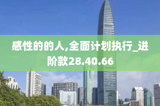 感性的的人,全面计划执行_进阶款28.40.66