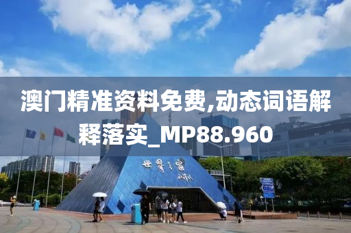 澳门精准资料免费,动态词语解释落实_MP88.960