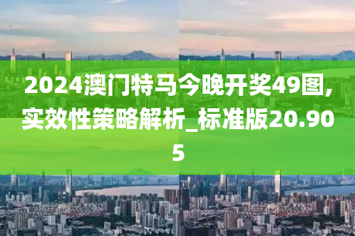 2024澳门特马今晚开奖49图,实效性策略解析_标准版20.905