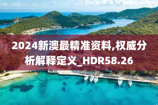 2024新澳最精准资料,权威分析解释定义_HDR58.26