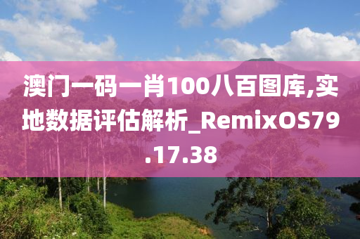 澳门一码一肖100八百图库,实地数据评估解析_RemixOS79.17.38