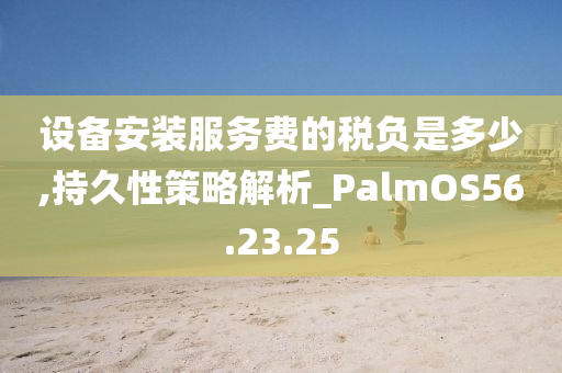 设备安装服务费的税负是多少,持久性策略解析_PalmOS56.23.25