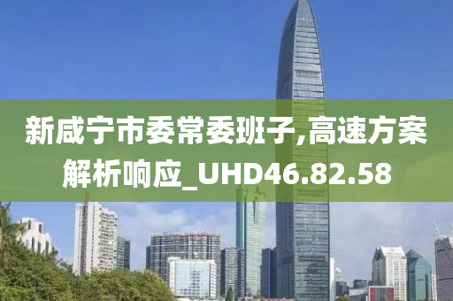 新咸宁市委常委班子,高速方案解析响应_UHD46.82.58