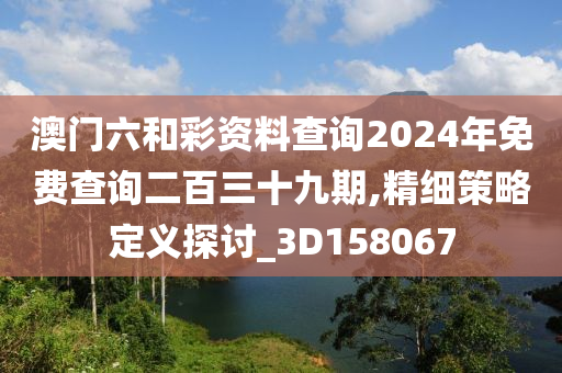 澳门六和彩资料查询2024年免费查询二百三十九期,精细策略定义探讨_3D158067