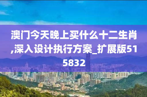 澳门今天晚上买什么十二生肖,深入设计执行方案_扩展版515832