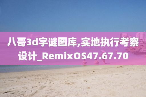 八哥3d字谜图库,实地执行考察设计_RemixOS47.67.70