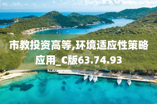 市教投资高等,环境适应性策略应用_C版63.74.93