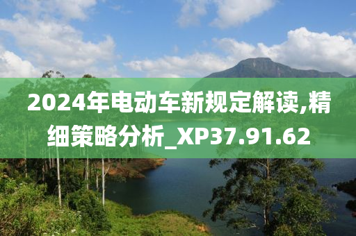 2024年电动车新规定解读,精细策略分析_XP37.91.62