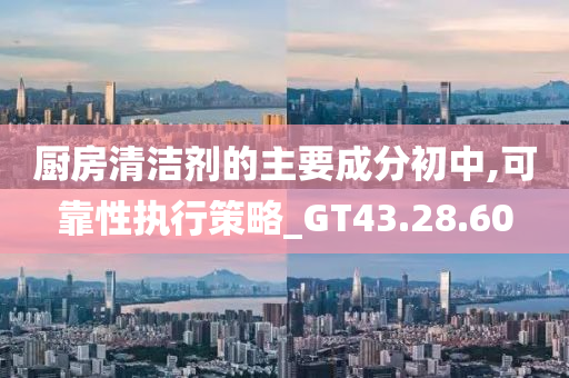 厨房清洁剂的主要成分初中,可靠性执行策略_GT43.28.60